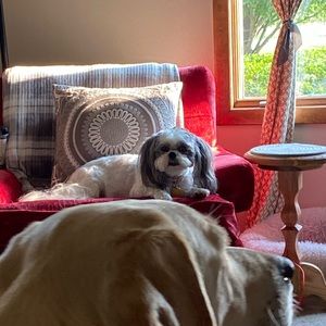 Meet your Posher, Melissa